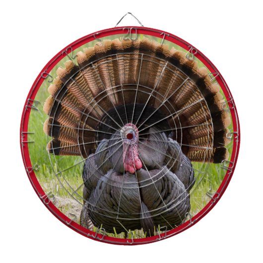 Fléchettes Cible de la Turquie (Devant)