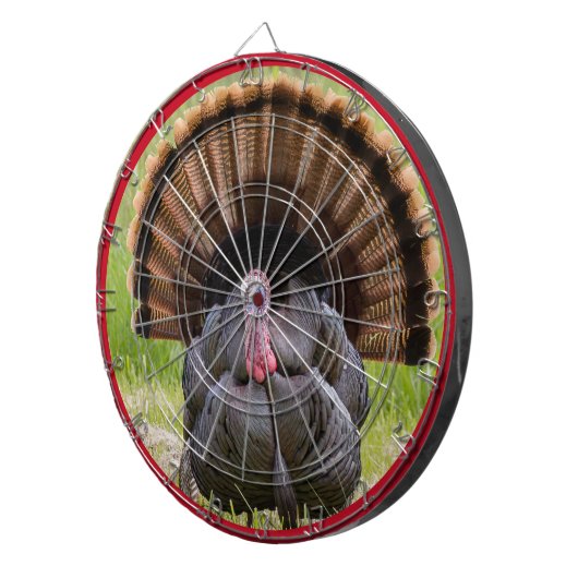 Fléchettes Cible de la Turquie (Devant droit)