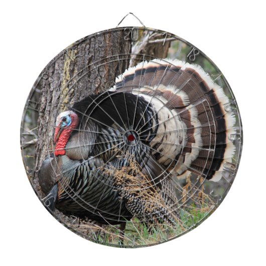 Fléchettes TOUCHER LA Cible de flechettes TURQUIE (Devant)