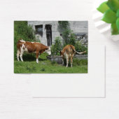 Fleckvieh soif (Bureau)