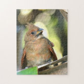 Fledgling Cardinaal Baby Bird Photographic Legpuzzel (Verticaal)