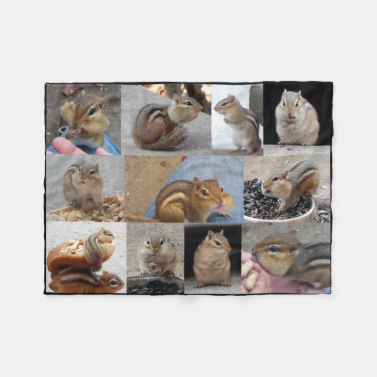 Fleece Chipmunk Blanket met 11 Chipmunks. (Voorkant (Horizontaal))