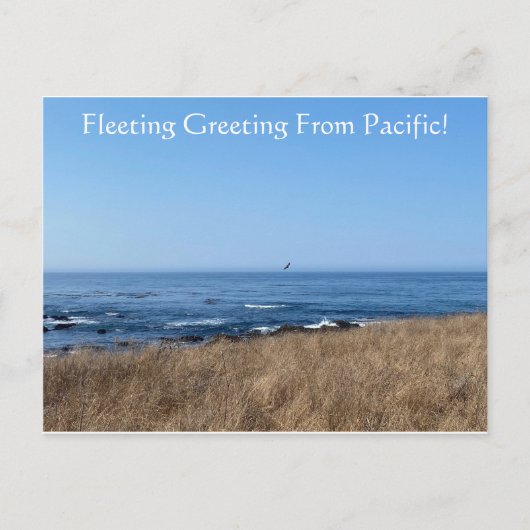 FleetingGroet uit de Stille Oceaan! Briefkaart (Voorkant)