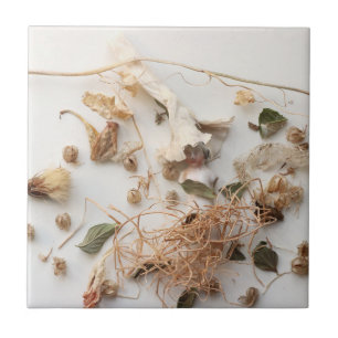 Fleetmoment Tegeltje