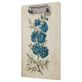  flesje dubbel Larkspur Klembord (Links)