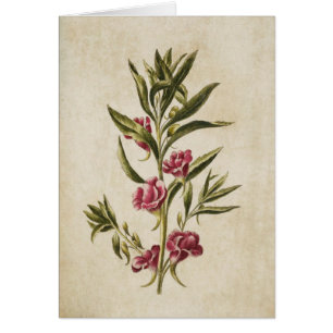 flessenbalsem-illustratie van flesanalen