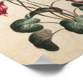 flessencyclamen afdrukken poster (Hoek)