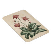  flessenhals Daisy Magnet Magneet (Rechterzijde)