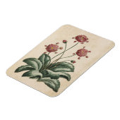  flessenhals Daisy Magnet Magneet (Linkerzijde)