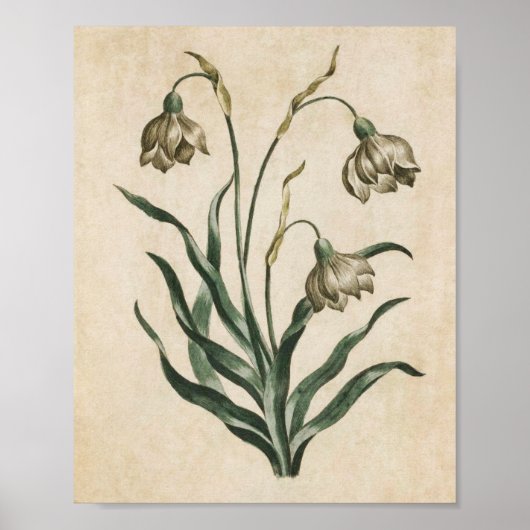  flessenhalsdruk poster (Voorkant)