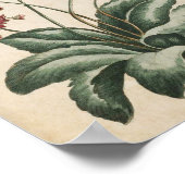  flessenhalsflora Daisy Print (Hoek)