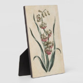 flessenhyacinth fotoplaat (Zijkant)