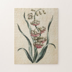  flessenhyacinth legpuzzel