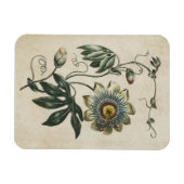  flessenpassie voor fluitenzen magneet (Horizontaal)