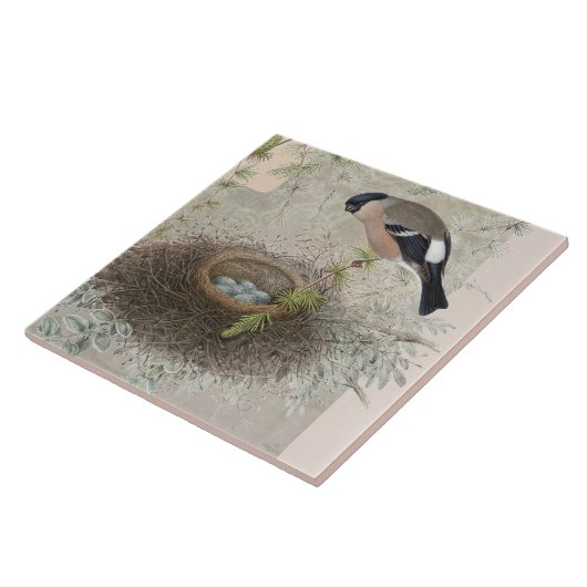  flessenvogel Nest Blue Eggs Collage Leaf Tegeltje (Zijkant)