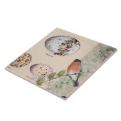  flessenvogelwoestijncactus Eieren script Tegeltje (Zijkant)