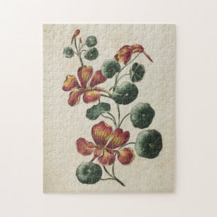 flesvormig Nasturtium Legpuzzel