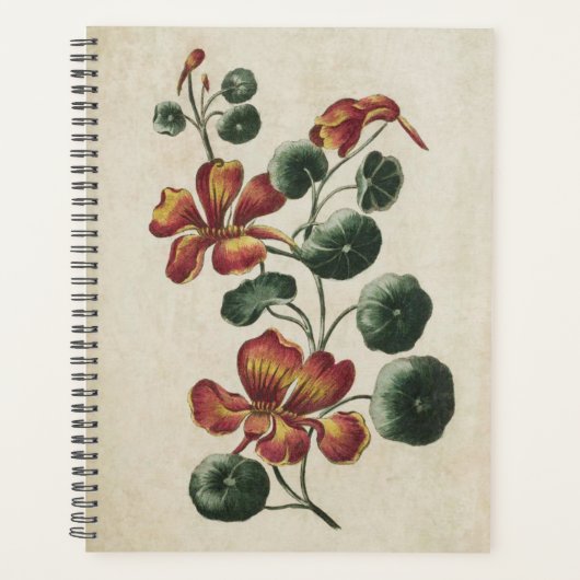 flesvormig Nasturtium Planner (Voorkant)