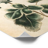  flesvormige flesvormige geranium-druk poster (Hoek)