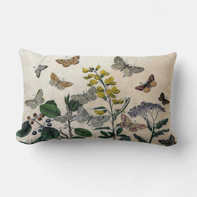  flesvormige vlinderbloemknoterflies bijtend beige kussen (Voorkant)