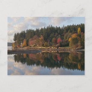 Fletcher Bay Briefkaart