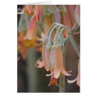Fleur