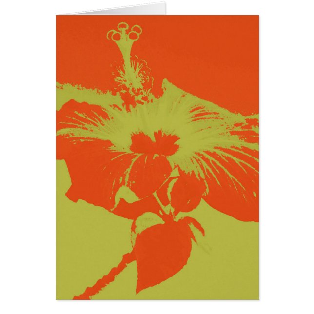 Fleur #8 de ketmie (Devant)