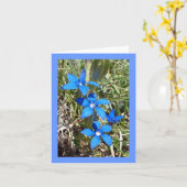 Fleur alpine de gentiane bleue -- Carte de voeux (Fleur jaune)