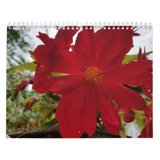 Fleur Are It 2026 Calendrier (Protection)