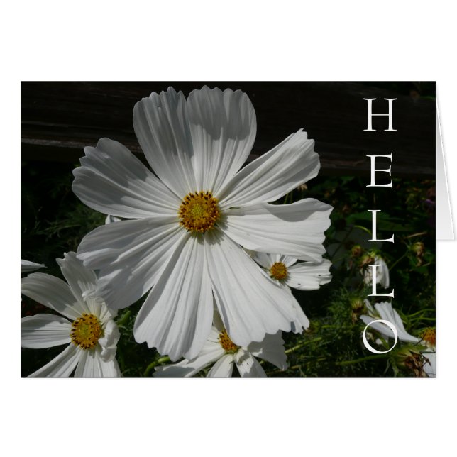 fleur blanche (Devant horizontal)
