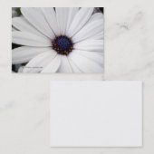 Fleur blanche avec le carte de visite central bleu (Devant / Derrière)
