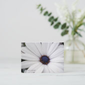 Fleur blanche avec le carte de visite central bleu (Debout devant)