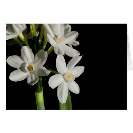 Fleur Blanche Printemps Événement Et Carte Mariage (Devant horizontal)