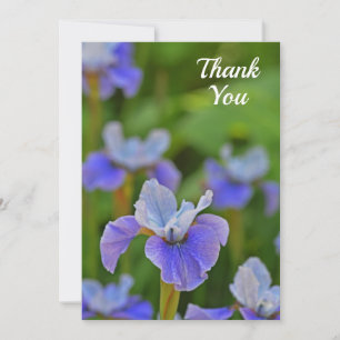 Fleur bleue Iris élégant Carte de remerciements pl