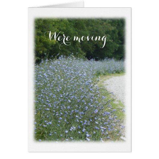 Fleur bleue Nous sommes en train de bouger Faire-p (Devant)