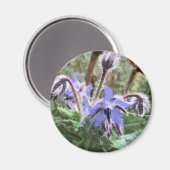 Fleur Blue Borage Star sur un aimant de cuisine (Recto/Verso)