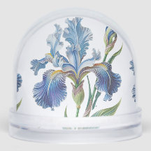 FLEUR BOTANIQUE AVEC IRIS