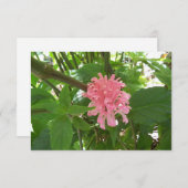 Fleur brésilienne rose de plume sur un carte de (Devant / Derrière)
