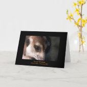 Fleur - carte de légendes (Fleur jaune)