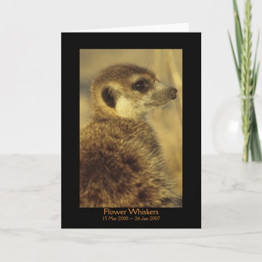 Fleur - carte de légendes (Devant)