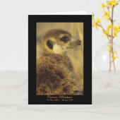 Fleur - carte de légendes (Fleur jaune)