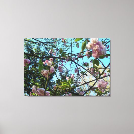 Fleur Cherche, Nature, Arbre, Fleur, Toile (Recto)