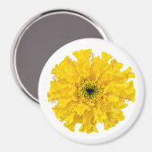 Fleur Chimie Magnet Marigold (Recto/Verso)