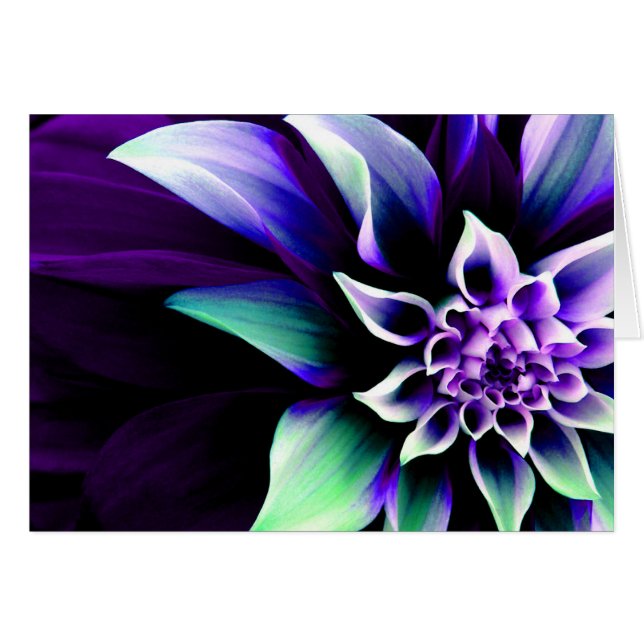 Fleur colorée 3 (Devant horizontal)