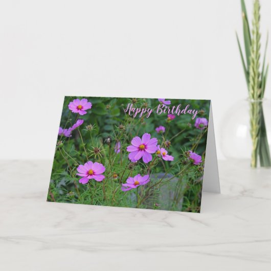Fleur Cosmos Rose violet Joyeuse carte d'anniversa (Devant)