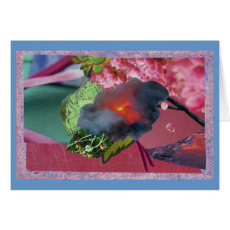 Fleur coucher de soleil