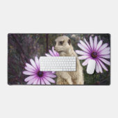 Fleur Curieuse : Meerkat Parmi Les Marguerites Vio (Clavier et souris)