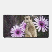 Fleur Curieuse : Meerkat Parmi Les Marguerites Vio (Recto)