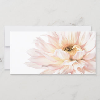 Fleur Dahlia Rose - Dahlias Modèle Customisé