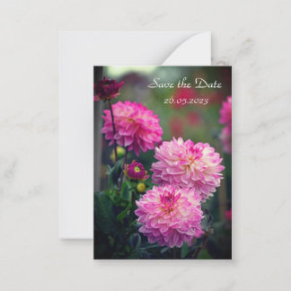 Fleur Dahlia rose et blanc Enregistrer la carte Da